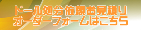 ラブドール廃棄
